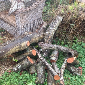 Assorted Wood Logs 10” Long, 4” in Diameter