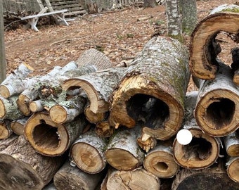 Assorted Logs, Hollowed Logs and Unusual Shaped Branches/Custom