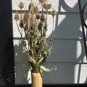 Large Thistle/Teasel Stalk Bouquet