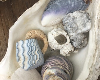 Mystery Sea Treasures/ Large Shell with Smaller Treasures Inside