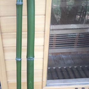 4X Freshly Cut Green Bamboo Poles 1- 1 1/2”Diameter  48” Length /Custom