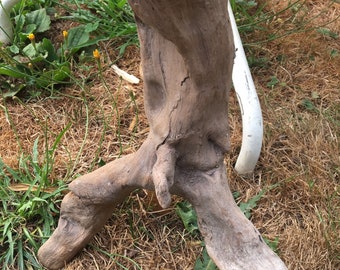 Man Shaped Driftwood/ Art Piece