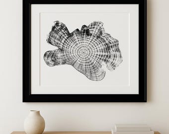 Original Tree Ring Print – Western Red Cedar | Hand-Stamped Wood Slice Art | 18x24” Fine Art Print (Unframed)