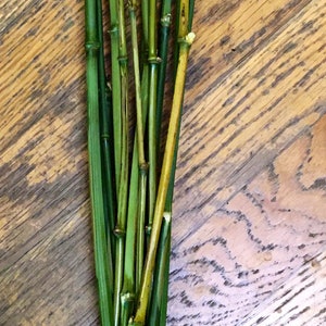 Natural Bamboo Sticks – Set of 12 | 24” Long | Sustainably Grown in the Pacific Northwest | Minimalist Décor, Crafts, DIY Projects