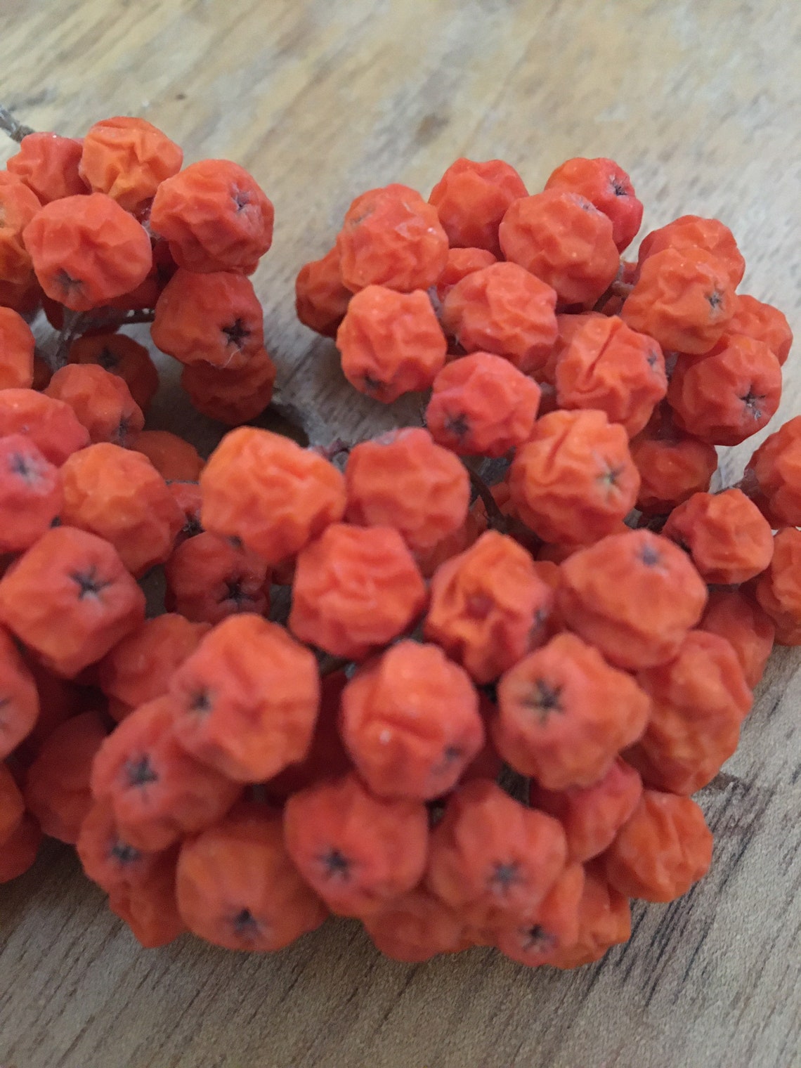 1 oz Organic Dried Rowan Berries Mountain Ash Altar Offering Etsy