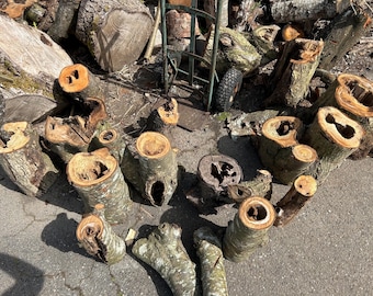 Assorted Logs, Hollowed Logs and Unusual Shaped Branches/Custom