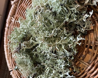 1OZ Lichen