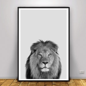 Lion Print, Lion Digital Print, DIGITAL ART, DOWNLOAD Pictures Art, Animal Black White, Black and White Prints, Nursery Wall Art, Lion Art