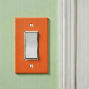 May include: An orange light switch plate with a silver toggle switch is mounted on a light green wall. The plate is rectangular with rounded corners and two screws. A white door frame is on the right.