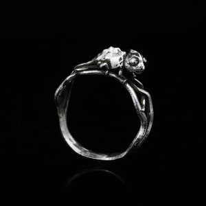 May include: A silver ring with a chameleon design. The ring has a textured band and a detailed chameleon figure. The ring is set against a black background.