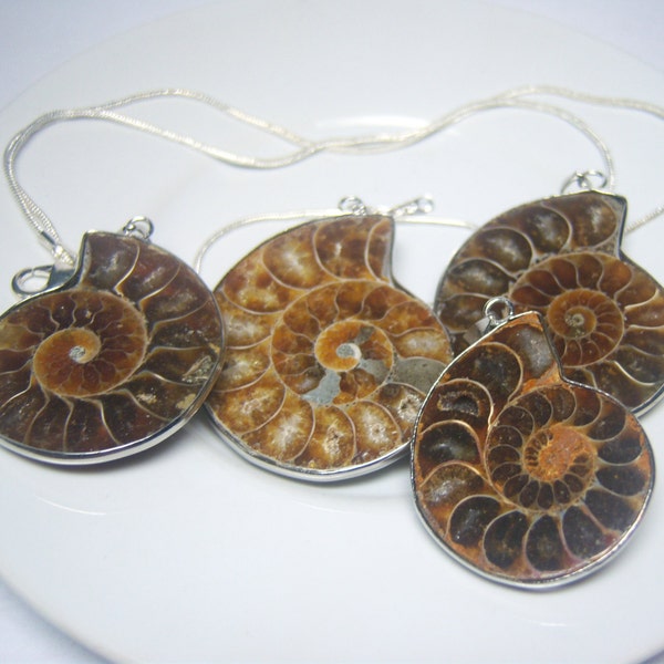 Ammonite Snail Fossil Pendant Jewelry, Mineral Fossil Unique Unusual Fun OOAK BOHO Unisex Science Teacher Gift Prehistoric Cephalopod Spiral