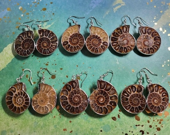 Pendientes colgantes únicos con forma de fósil de caracol amonita, mineral nautilo prehistórico, regalo bohemio único para profesores, ideal para iniciar una conversación, divertido y natural.