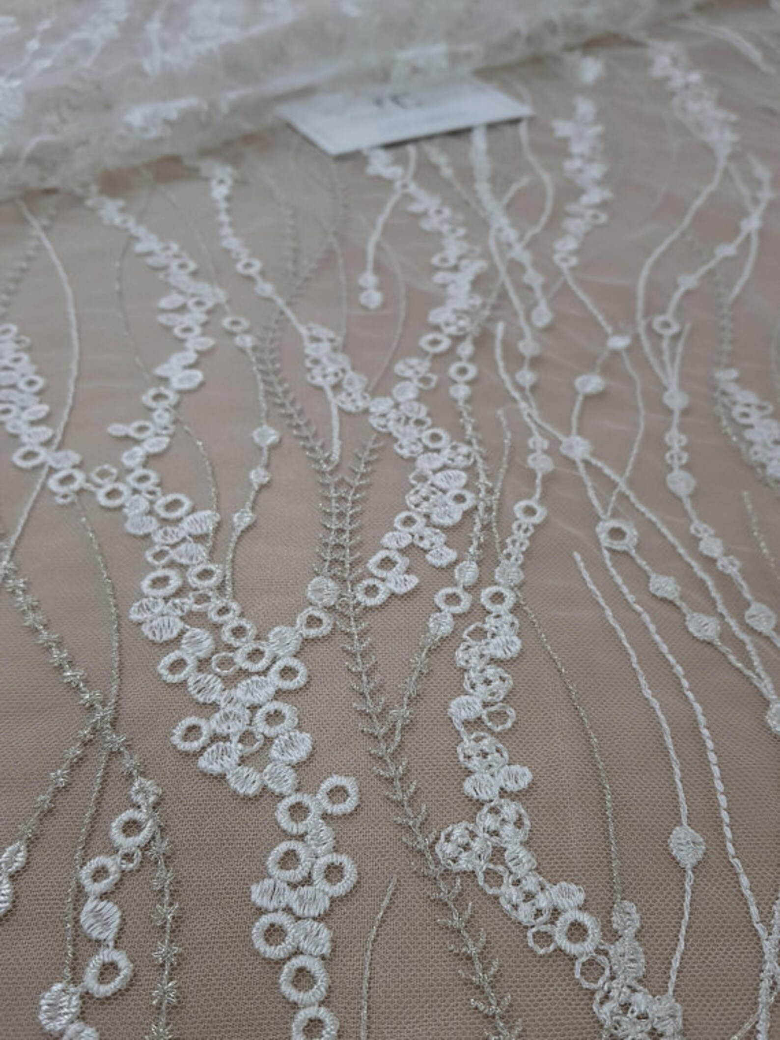 Ivory With Silver Embroidered Lace Fontaine