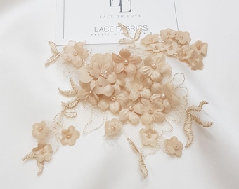 Beige Lace applique, Beaded lace applique, French Chantilly lace applique, 3D lace, bridal lace applique M0097