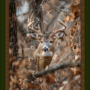 HIDDEN BUCK Fabric Quilt Panel 36&quot; x 45&quot;, Deer, Buck, Hunting, Wildlife (see description...)