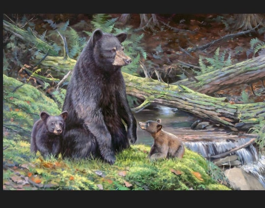 BEAR Necessities 36