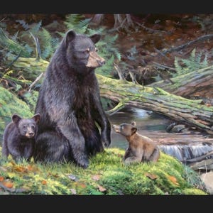 BEAR Necessities 36&quot; x 45&quot; Fabric Quilt Panel, Wildlife, Mountain, Animal, Cabin (see description...)