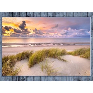 May include: A panoramic view of a sandy beach with tall green grass in the foreground. The beach is bordered by a calm ocean with a colorful sunset sky in the background.