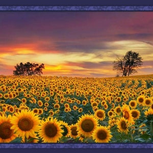 SUNSET OVER SUNFLOWER Fabric Quilt Panel 36&quot; x 45&quot;, Flower, Floral (see description...)