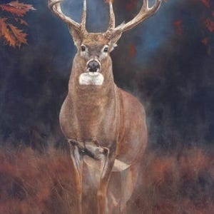CLOSE ENCOUNTER 36&quot; x 45&quot; Fabric Quilt Panel, Deer, Buck, Hunting (see description...)