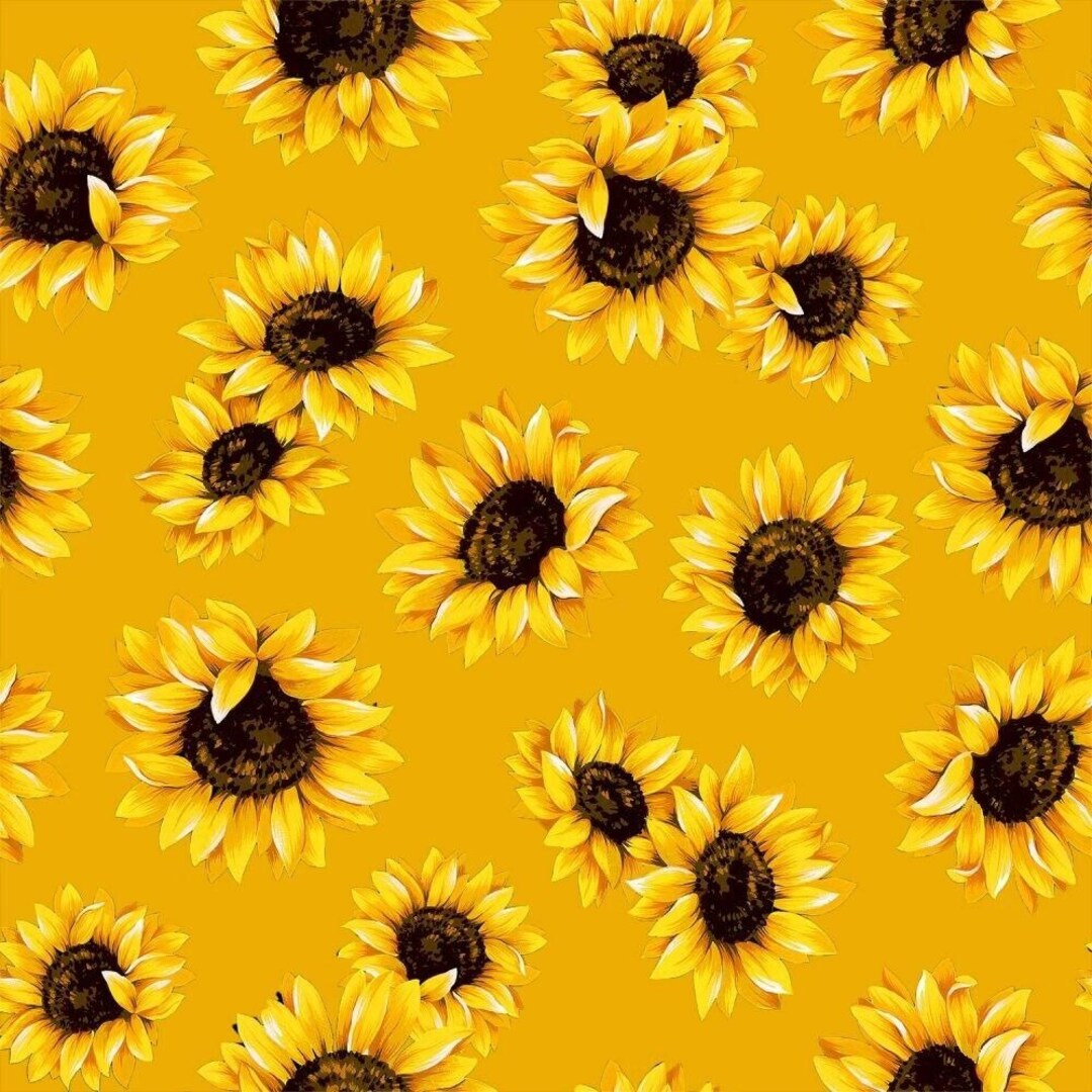 Sunflowers Mustard Yellow 100 Cotton Fabric, Available by the Yard in Continuous Yardage Etsy
