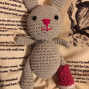 Maddie’s Booboo Bunny with pink leg cast