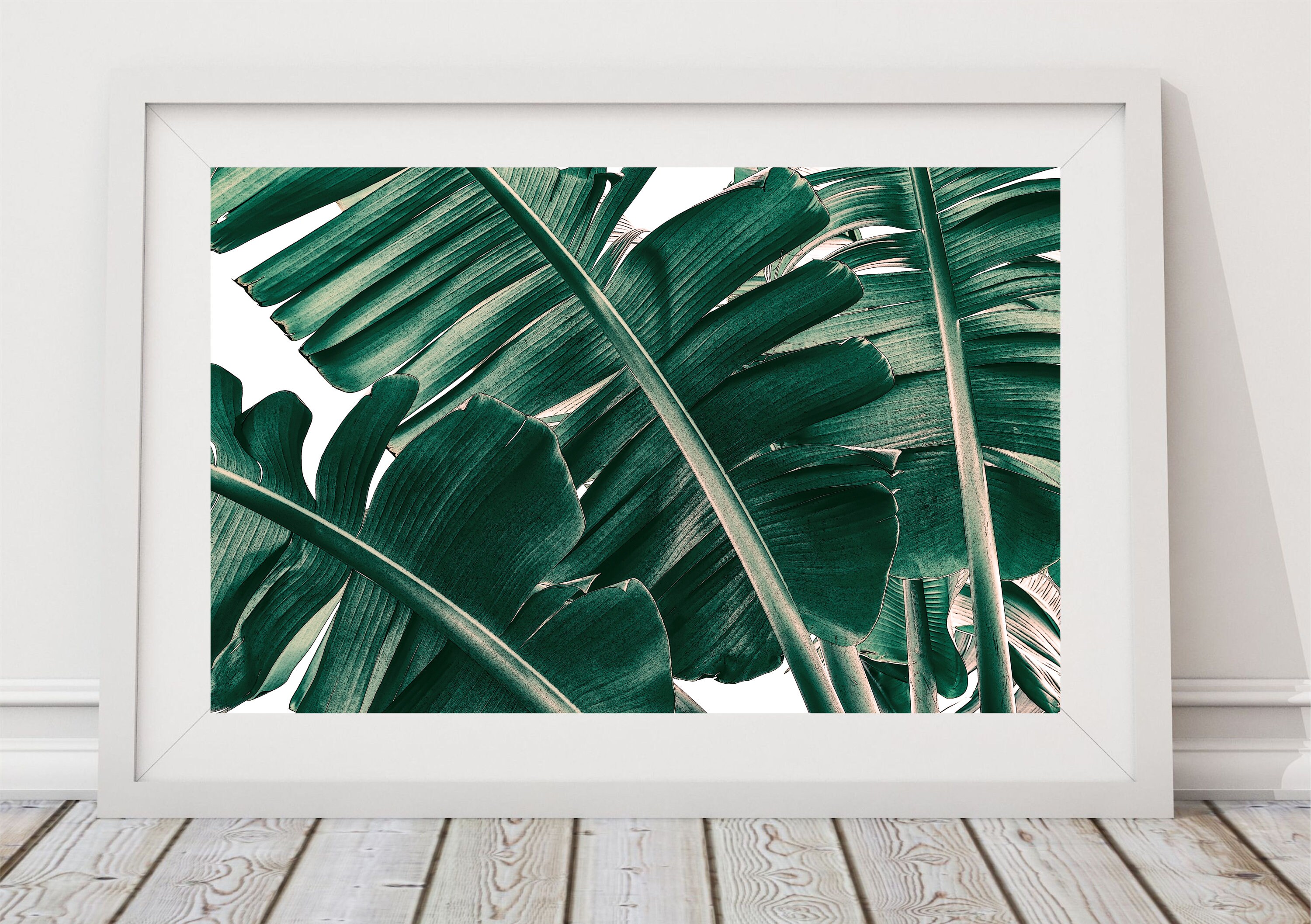 Palm Leaf Art Print Plant Photos Wall Art Tropical Plants Etsy UK