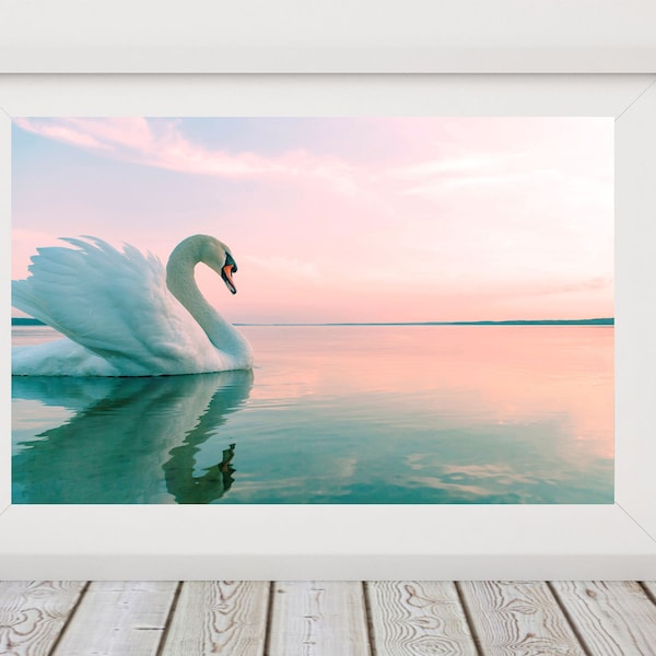 White Swan Photo, White Swan Art, Lake Minimalist Wall Art, Swan On The Water, Poster Swan, Swan Download, Swan Wall Art, Modern Swan Print