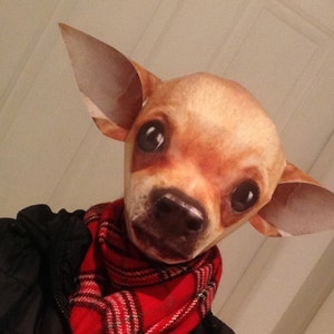 Plantilla Papercraft Chihuahua máscara para adultos Máscara de animal DIY imprimible sin necesidad de pintura, Imprima, corte, doble y pegue Máscara de perro digital 3D