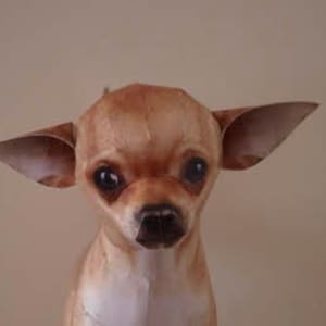 Chihuahua papercraft  model DIY model of cutest realistic Chihuahua art Downloadable Chihuahua art 3D template paper pet