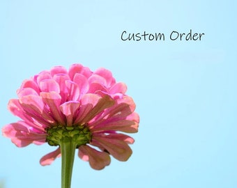 Custom Order for Susan Warren