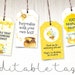Honey Bee Party Favor Tags Editable Gift Jar Labels Farmers - Etsy