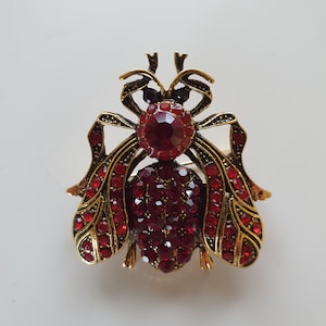 Ruby red insect brooch.
