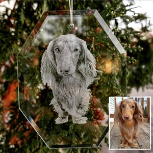 Photo Etched Glass Ornament | photograph on glass, custom ornament, pet photo, dog lover, dog, pet lover, animal lover, portrait, christmas