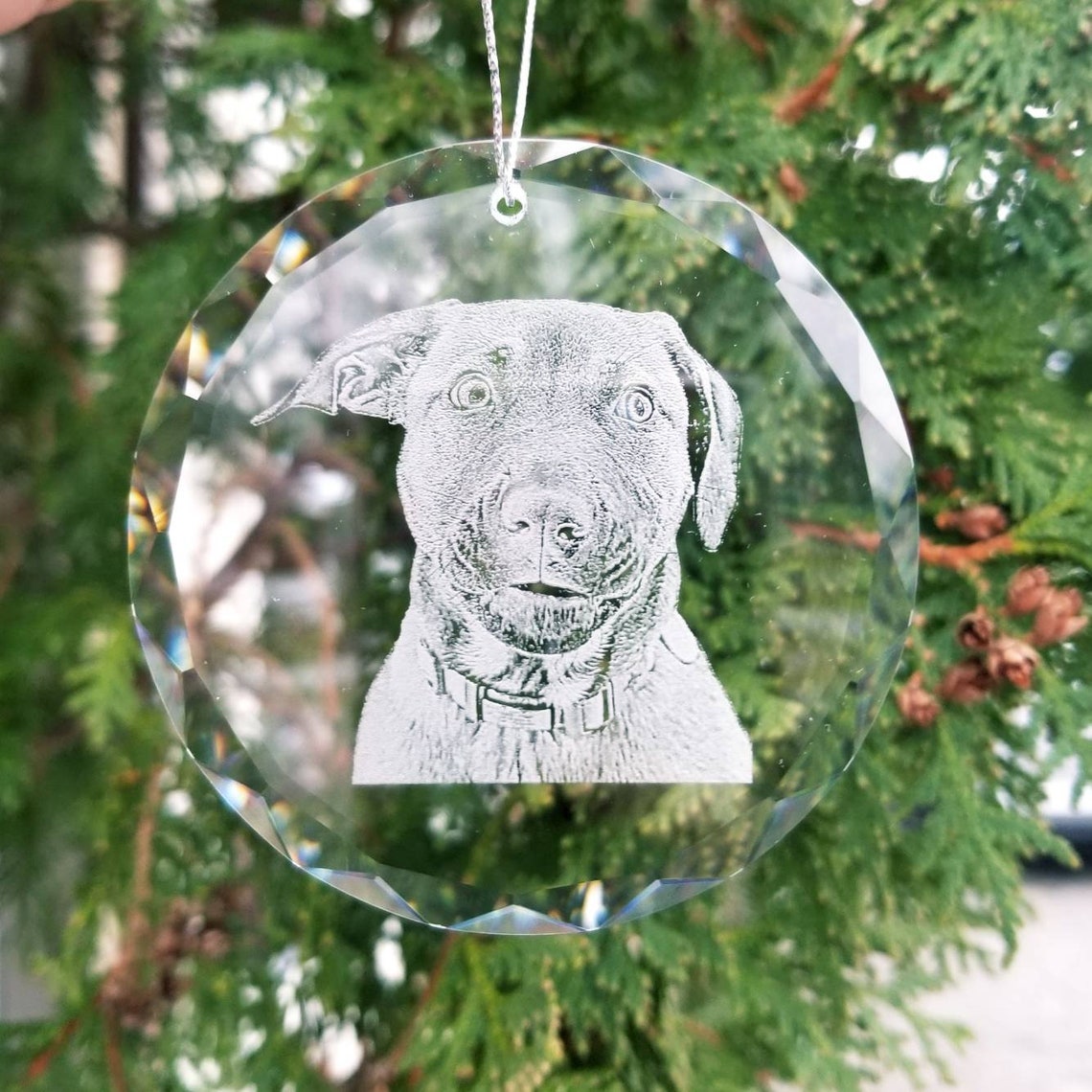 Photo Etched Glass Ornament Photograph on Glass Custom Etsy