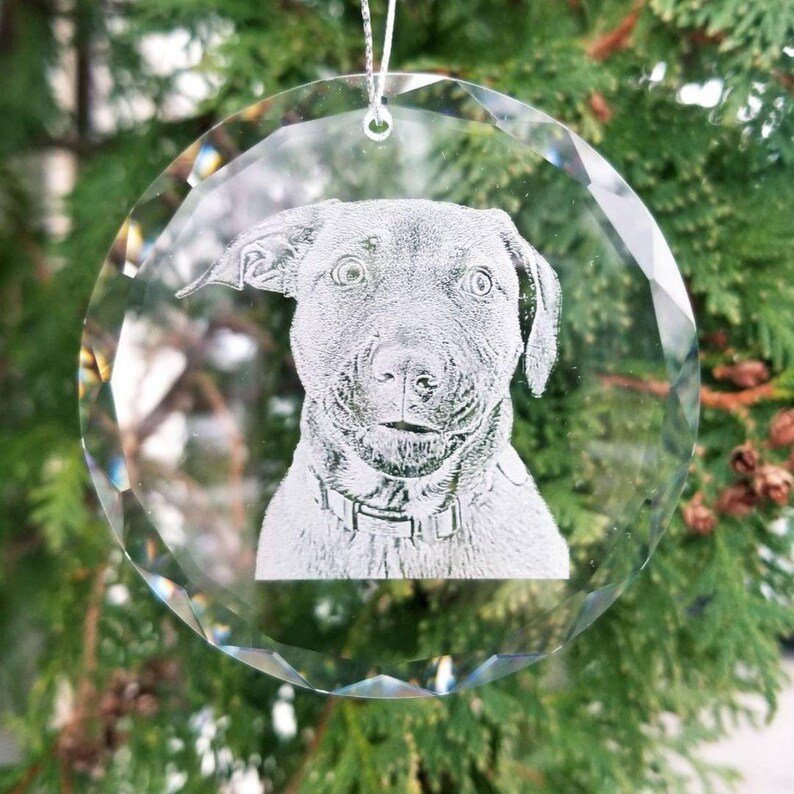 Pet Portrait Ornament | pet lover, pet memorial, memorial gift, engraved glass photo, etched picture, personalized gift, dog lover afbeelding 7