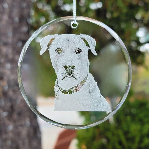 Pet Portrait Ornament | pet lover, pet memorial, memorial gift, engraved glass photo, etched picture, personalized gift, dog lover