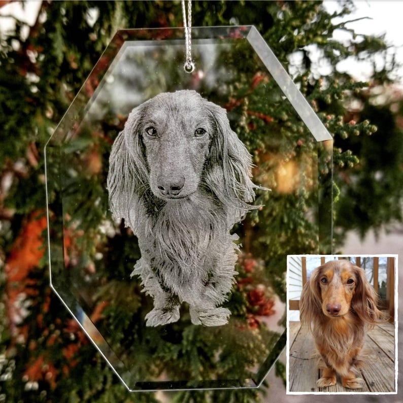 Pet Portrait Ornament | pet lover, pet memorial, memorial gift, engraved glass photo, etched picture, personalized gift, dog lover afbeelding 2