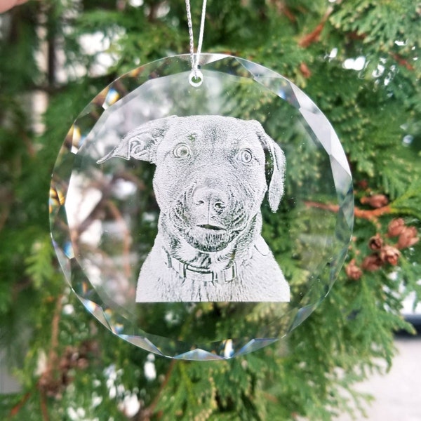 Etched Photo Glass Ornament | picture on glass, custom ornament, pet photo, dog lover, pet lover, animal lover, portrait, Christmas