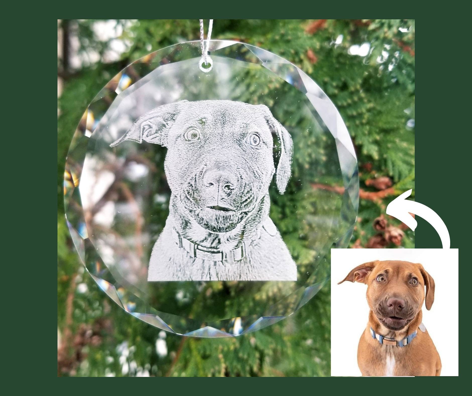 Photo Etched Glass Ornament | photograph on glass, custom ornament, pet photo, dog lover, dog, pet lover, animal lover, portrait, christmas