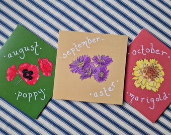 Flor de nacimiento de septiembre, cumpleaños de aster, tarjeta ilustrada botánica de otoño
