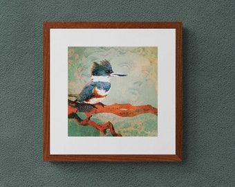 Belted Kingfisher - 10"x10" Giclee Fine Art Print