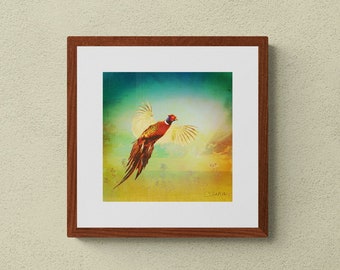 Ring-Necked Pheasant - 10"x10" Giclee Fine Art Print