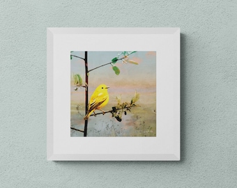 Yellow Warbler - 10"x10" Giclee Fine Art Print