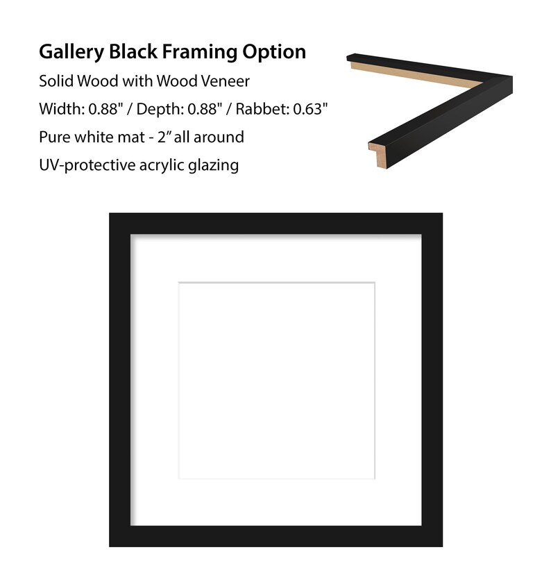 May include: Black picture frame with a white mat and UV-protective acrylic glazing. The frame is made of solid wood with a wood veneer. The frame is 0.88 inches wide and 0.88 inches deep. The rabbet is 0.63 inches. The mat is 2 inches wide all around.