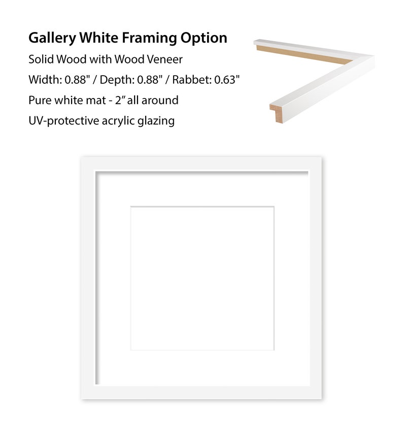 May include: White gallery frame with a 0.88 inch wide solid wood frame and a 2 inch white mat. The frame has a 0.63 inch rabbet and UV-protective acrylic glazing.