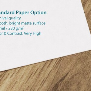 May include: A white sheet of paper with the text "Standard Paper Option" in blue. The paper is described as archival quality, smooth, bright matte surface, 9.5 mil/230 g/m&sup2;, and with very high color and contrast.
