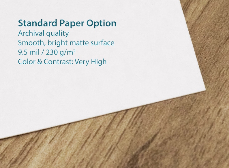 May include: A white sheet of paper with the text "Standard Paper Option" in blue. The paper is described as archival quality, smooth, bright matte surface, 9.5 mil/230 g/m&sup2;, and with very high color and contrast.