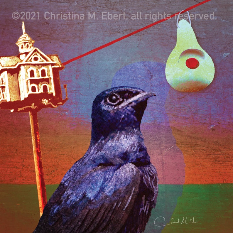 Purple Martin Fine Art Giclee Print image 2