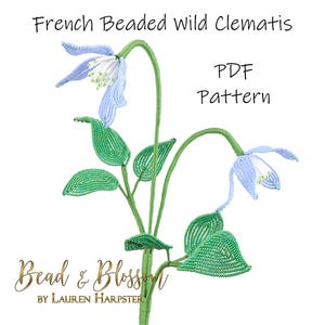 May include: A PDF pattern for a beaded wild clematis flower. The flower is blue and white with green leaves. The pattern is by Bead & Blossom by Lauren Harpster.